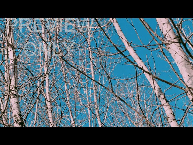 High Heavens Still 05
