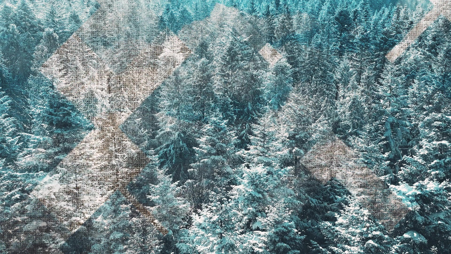 Rustic Christmas 07 Still