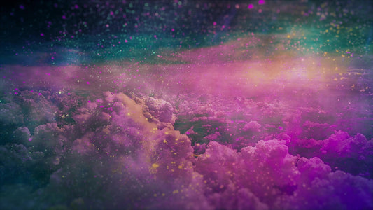 Vivid  10 Still
