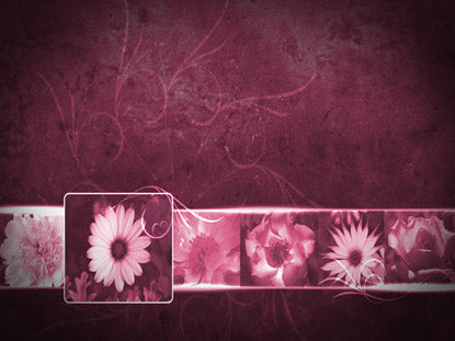 Mother's Day Still 2