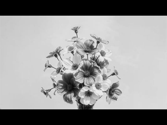 Mothers Day Motion Bw 2