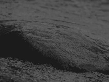 Black And White On The Rocks