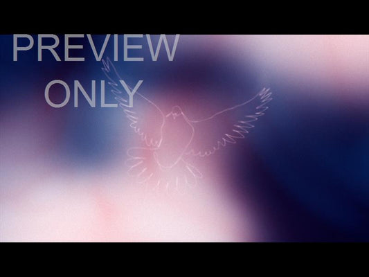Soaring Still 02