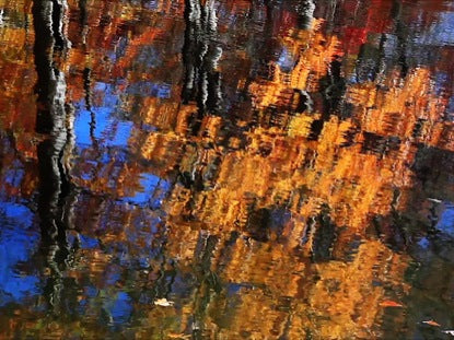 Brilliant Autumn Reflection Loop