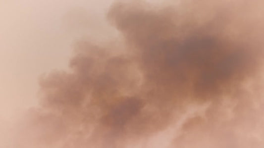 Let the Incense Rise 16