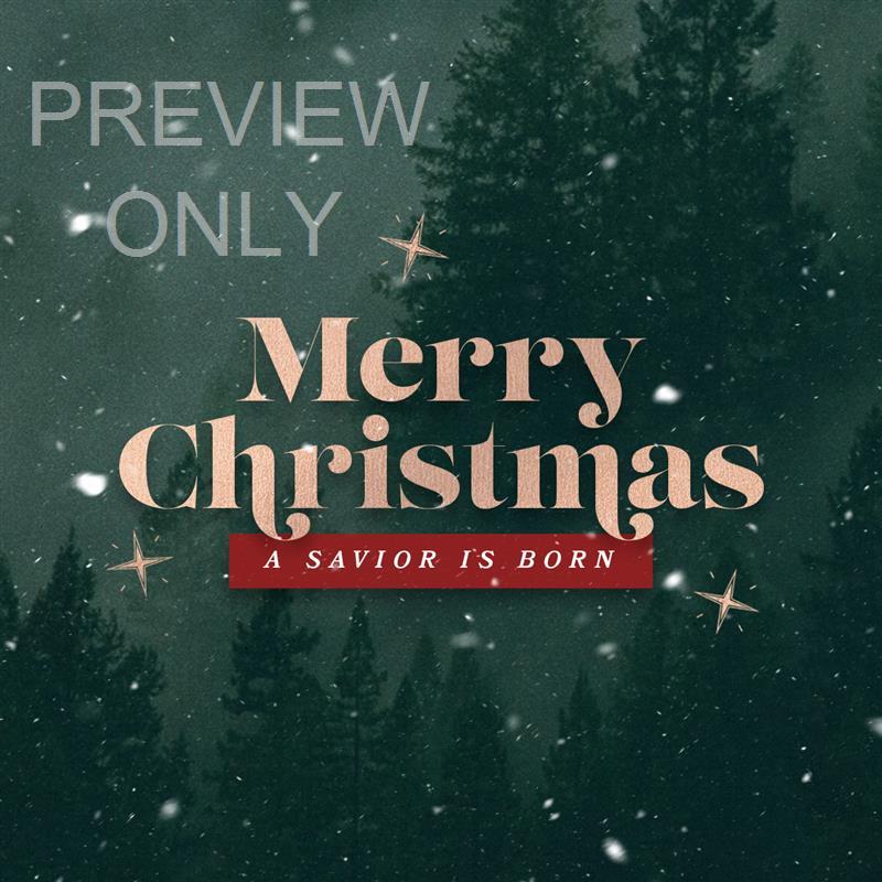 Merry Christmas - A Savior Is Born: Social Graphic Title