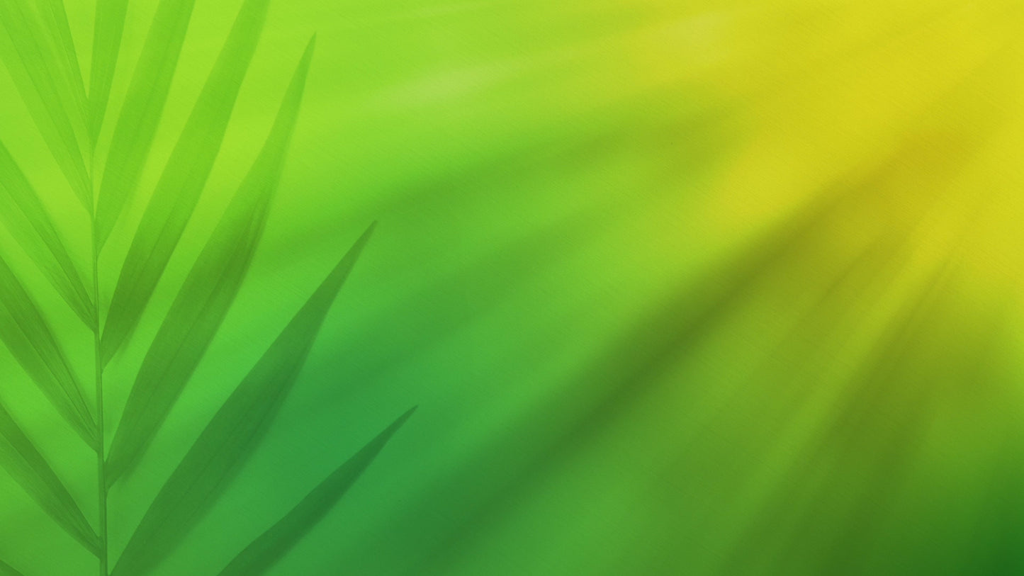 Radiant Blur Palm Sunday 02 Still