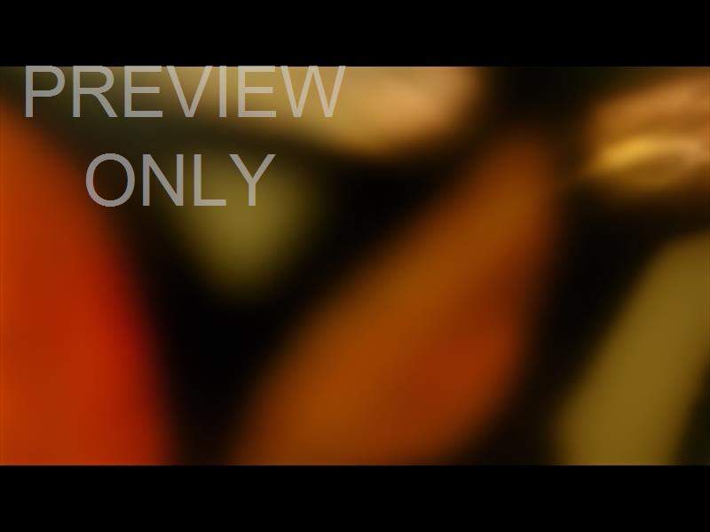 Stained Glass Still 5