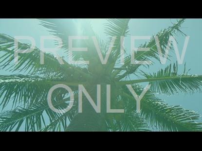 Palm Sunday Teaching Still 2