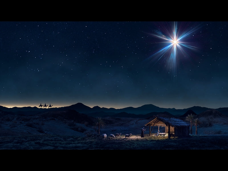 Christmas Promise 3