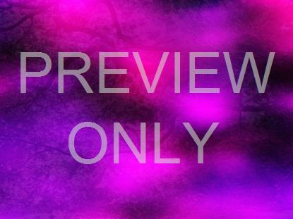 Radiant Harvest Still 4