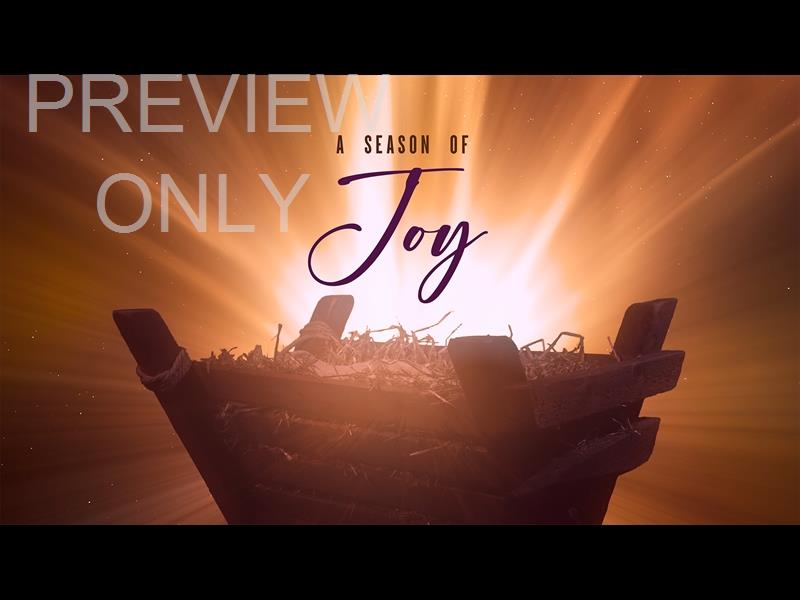 Christmas Manger Joy Still