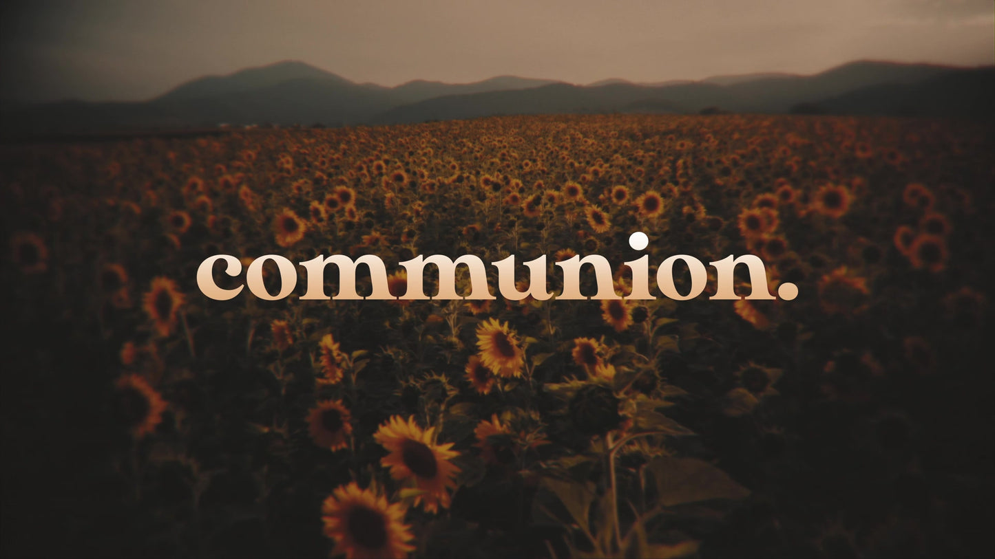 Vintage Sunflowers Communion Still