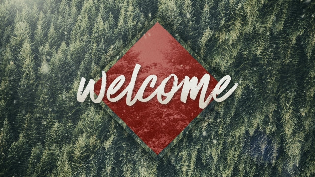 Christmas Forest Welcome