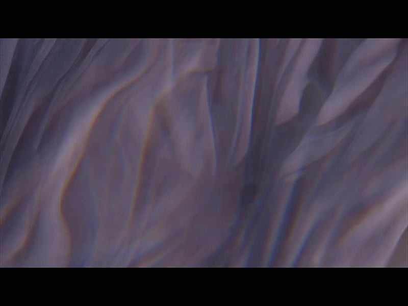 Lent Arches Lent 01 Loop