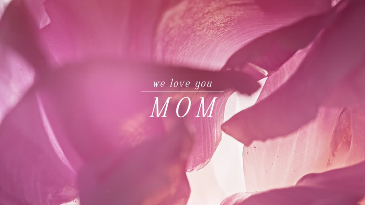Flowers Of The Field Still We Love You