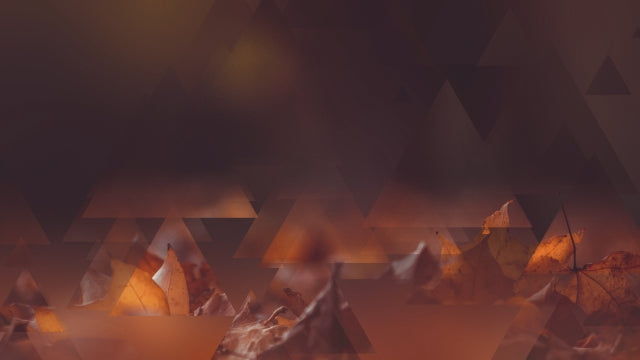 Autumn Journey 12