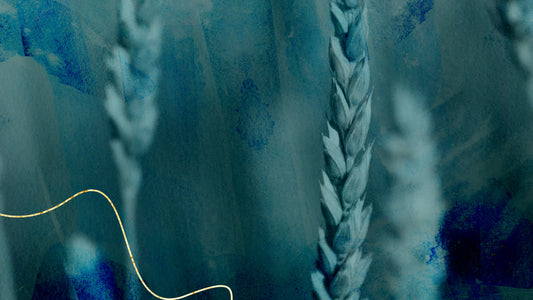 Ruth: Redeeming Love 05