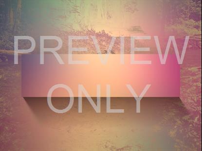 River Wild 7 Remix Still