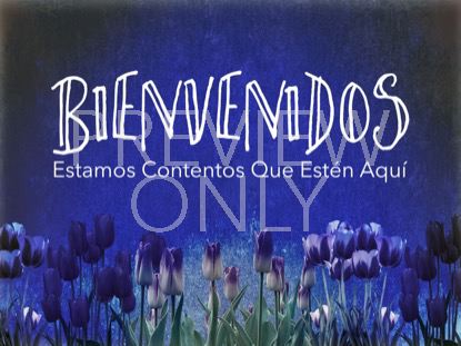 Mothers Day Tulips Welcome Still -