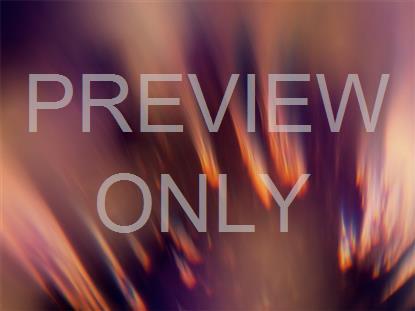 Sacred Light 13 Still