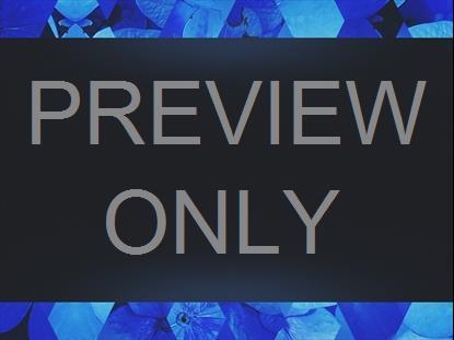 Spring Shift Blue Content