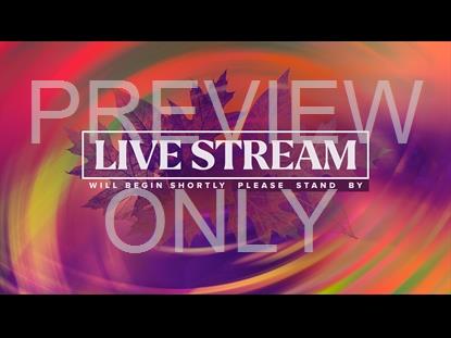 Fall Vibes Live Stream Still