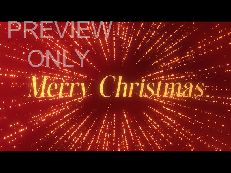 Splendor Of Christmas Christmas Still