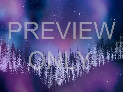 Christmas Woods 6 Still