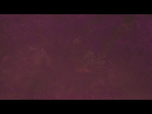 Velvet Flourish Brown Trees
