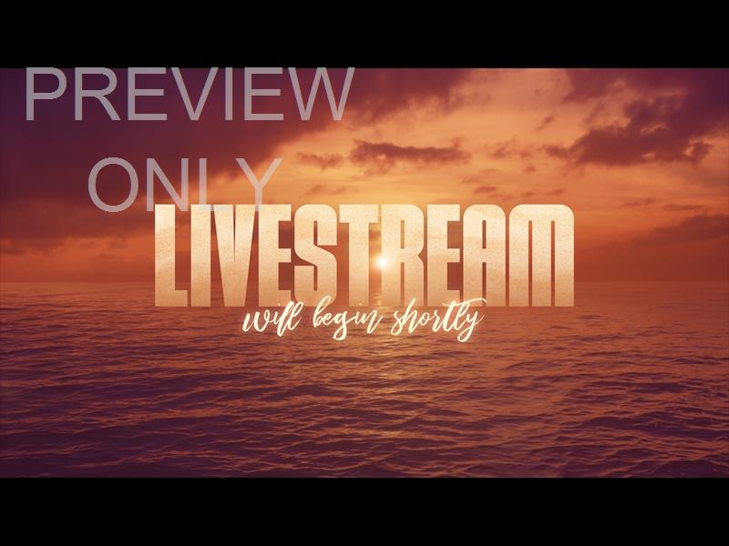 Seascape Livestream