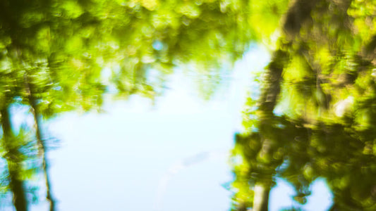 Living Waters 04