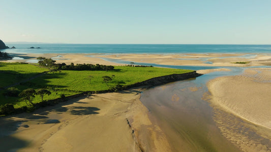 Golden Bay 1 Still