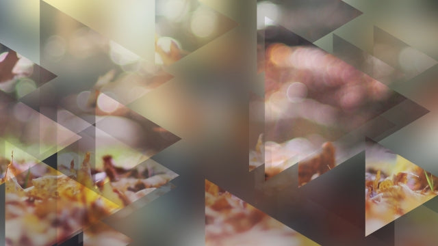 Autumn Journey 08
