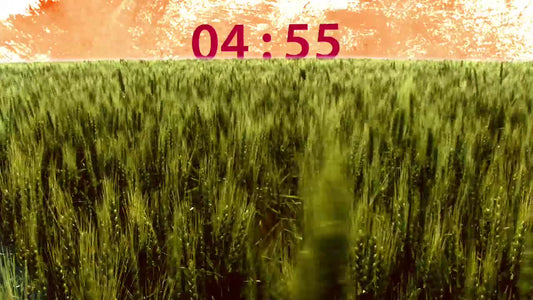 Field Countdown