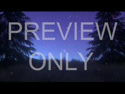 Summer Fireflies Blue Pines