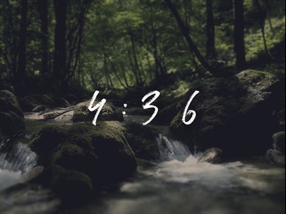 Verdant Countdown