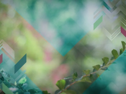 Nature Loop 04 Stylized