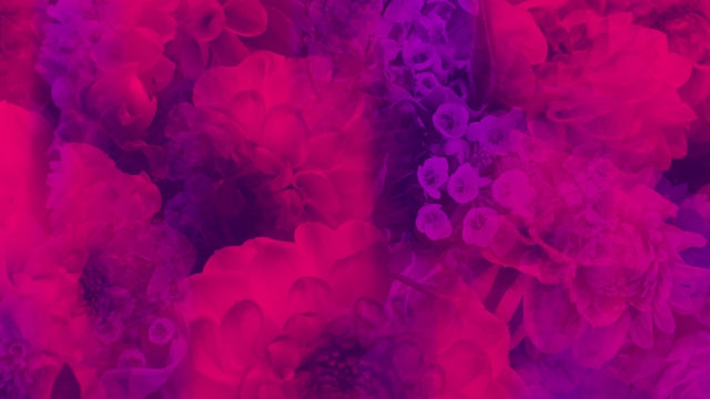 Floral Reflections 11