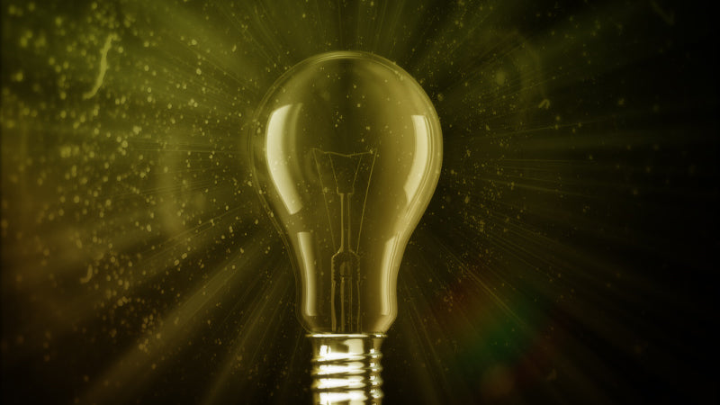 Bulb Burst Still