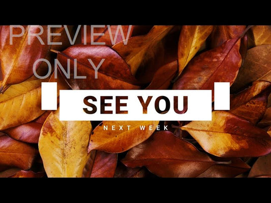 Autumn Leaves See You Next Week Still