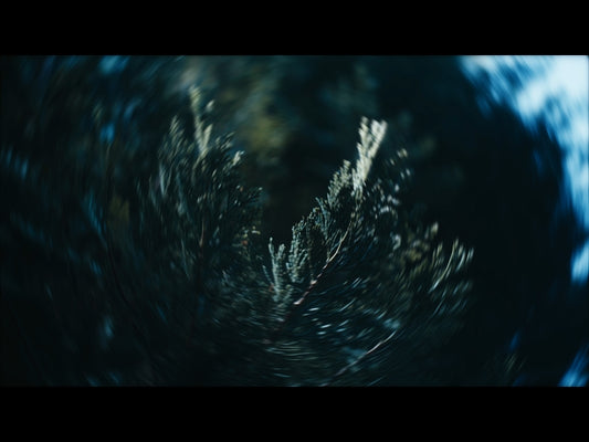 Radial Nature 5
