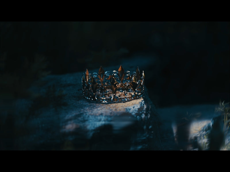Bible And Crown 10