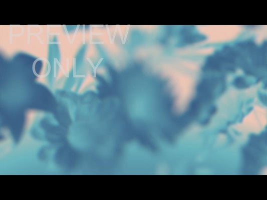 Made Beautiful Still 06