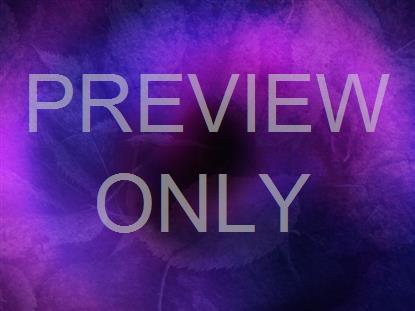 Radiant Harvest Still 5