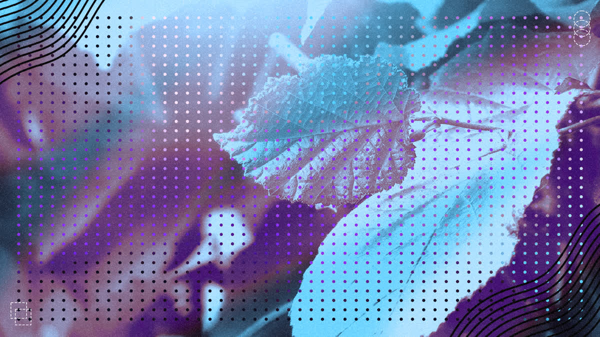 Wonder Background 10