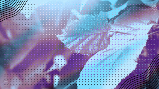 Wonder Background 10