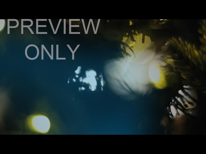 Bright And Beautiful Still 13