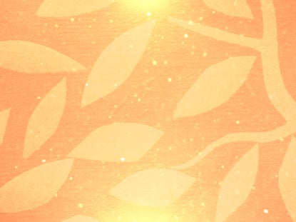 Seasonal Display Motion 3