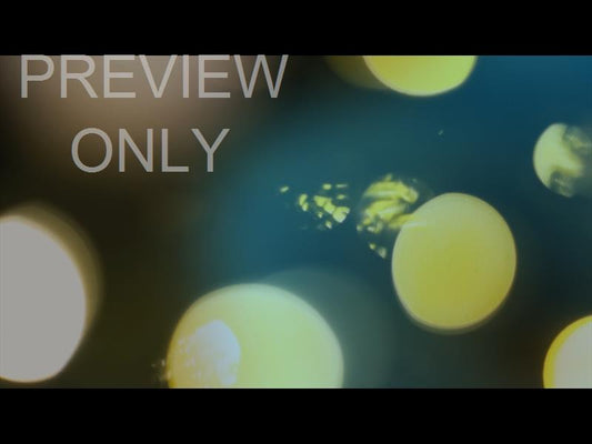 Bright And Beautiful Still 12